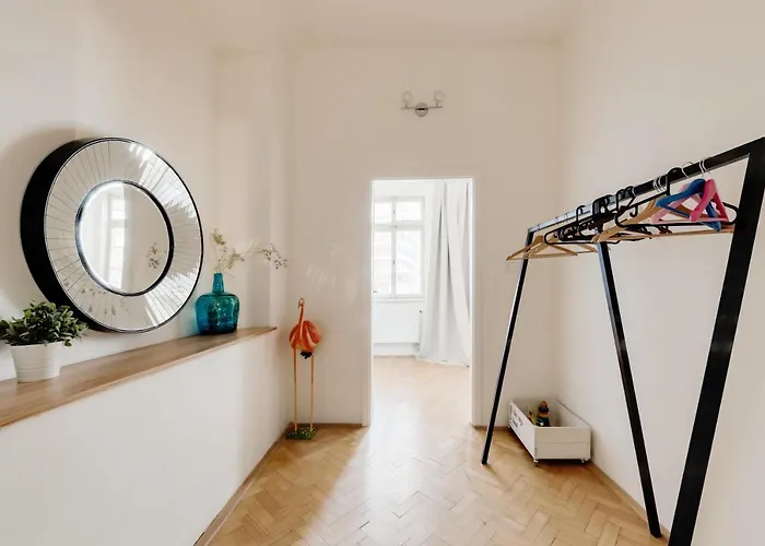 Apartment Curiosity